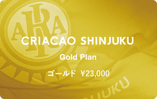 0.5シーズンゴールドプラン
¥23,000