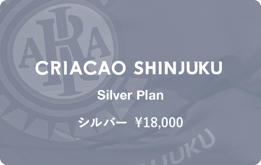 0.5シーズンシルバープラン
¥18,000