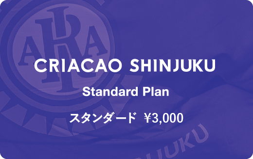 0.5シーズンスタンダードプラン
¥3,000