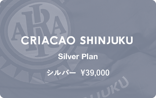 1.5シーズンシルバープラン
¥39,000